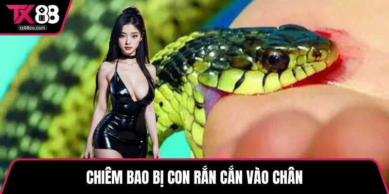 Chiêm bao bị con rắn cắn vào chân