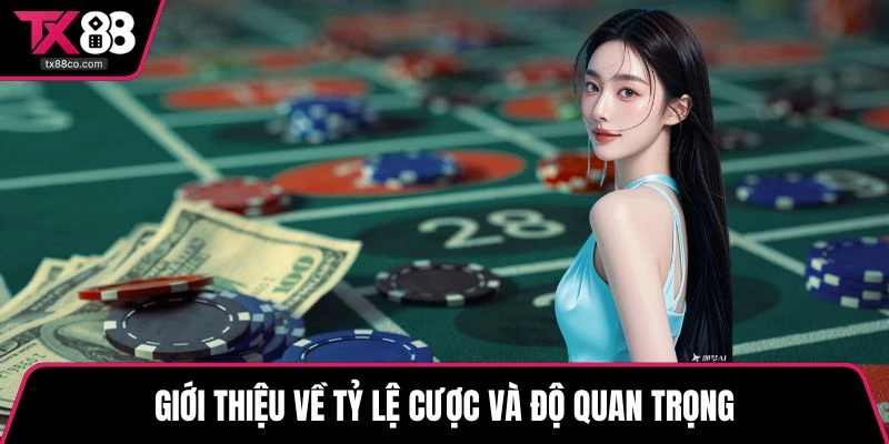 Giới thiệu về tỷ lệ cược và độ quan trọng