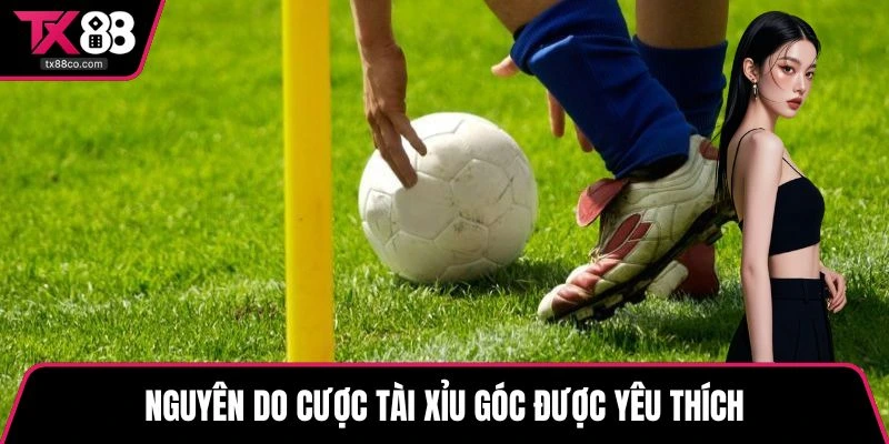 Nguyên do cược tài xỉu góc được yêu thích