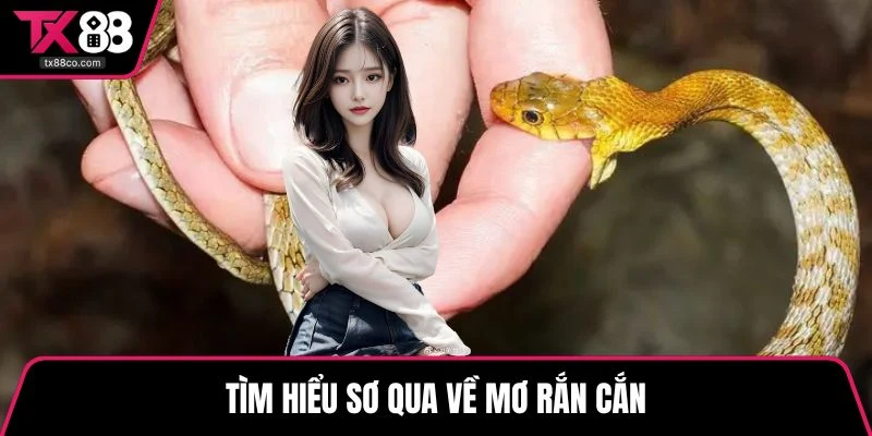 Tìm hiểu sơ qua về mơ rắn cắn